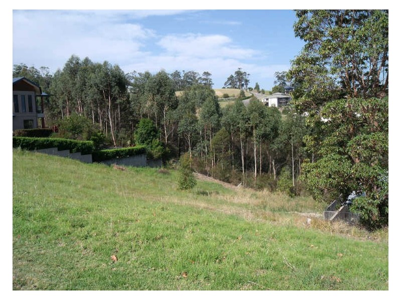 Lot 103 Hilltop Parkway, Tallwoods Village NSW 2430