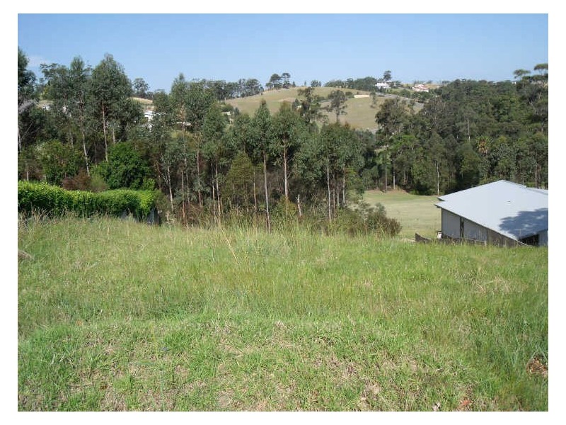 Lot 103 Hilltop Parkway, Tallwoods Village NSW 2430