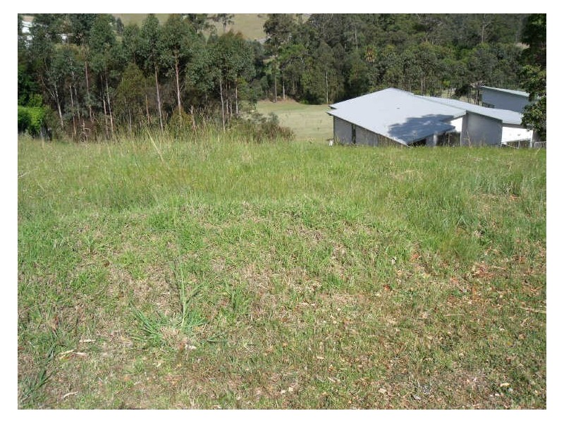 Lot 103 Hilltop Parkway, Tallwoods Village NSW 2430