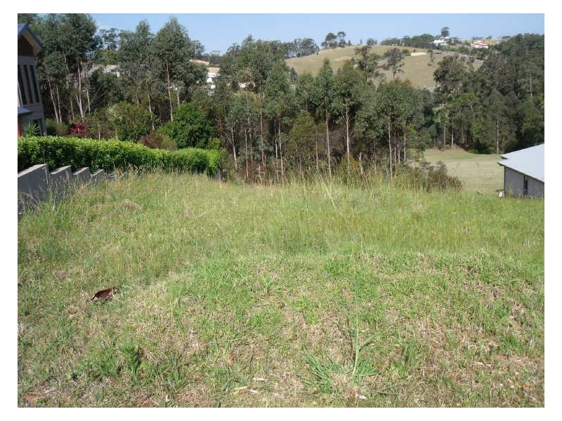 Lot 103 Hilltop Parkway, Tallwoods Village NSW 2430