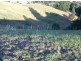 4- Lot 524 The Saddle ‘Tallwoods’, Hallidays Point NSW 2430