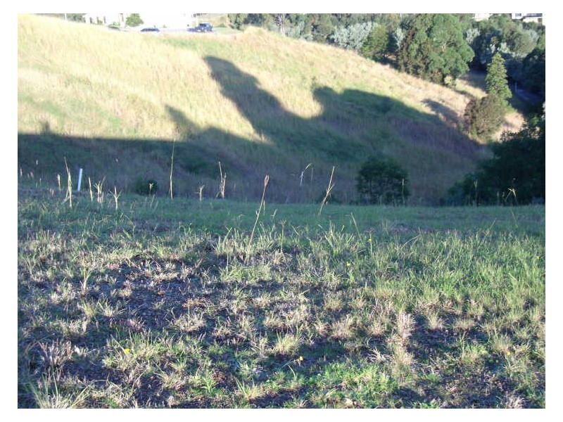 4- Lot 524 The Saddle ‘Tallwoods’, Hallidays Point NSW 2430
