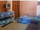 Tuncurry NSW 2428