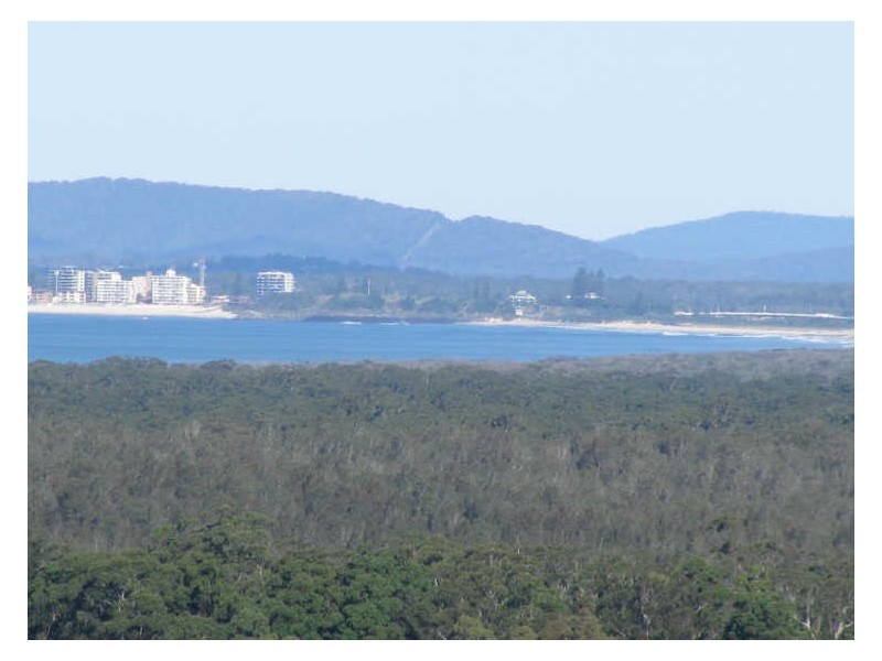 270 Tallwood Drive ‘Tallwoods’, Hallidays Point NSW 2430