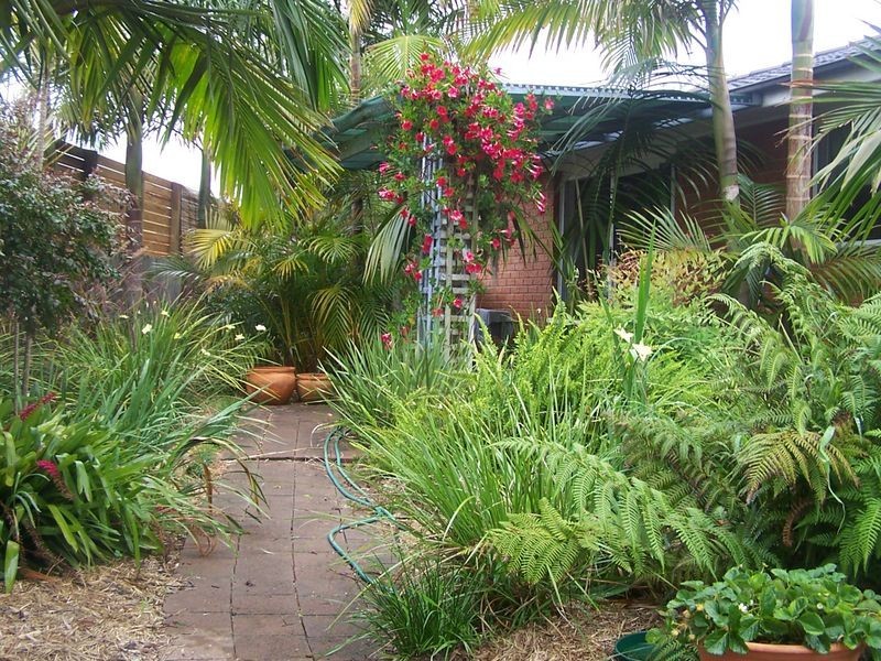 Tuncurry NSW 2428
