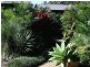 Charlotte Bay NSW 2428