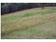 Lot 506 Hurdzans Reach ‘Tallwoods;, Hallidays Point NSW 2430