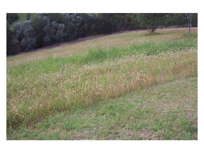 Lot 506 Hurdzans Reach ‘Tallwoods;, Hallidays Point NSW 2430