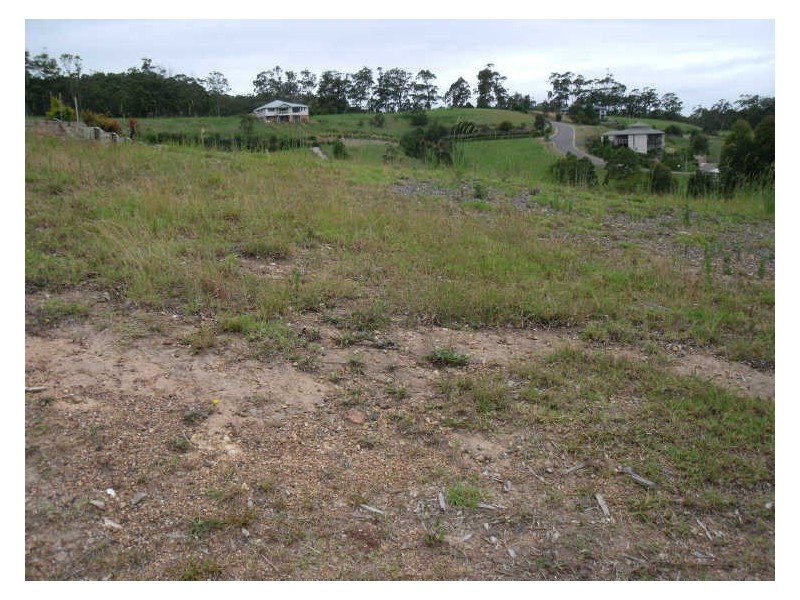 61 Hilltop Parkway ‘Tallwoods’, Hallidays Point NSW 2430