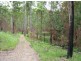 213 Tallwood Drive, Rainbow Flat NSW 2430