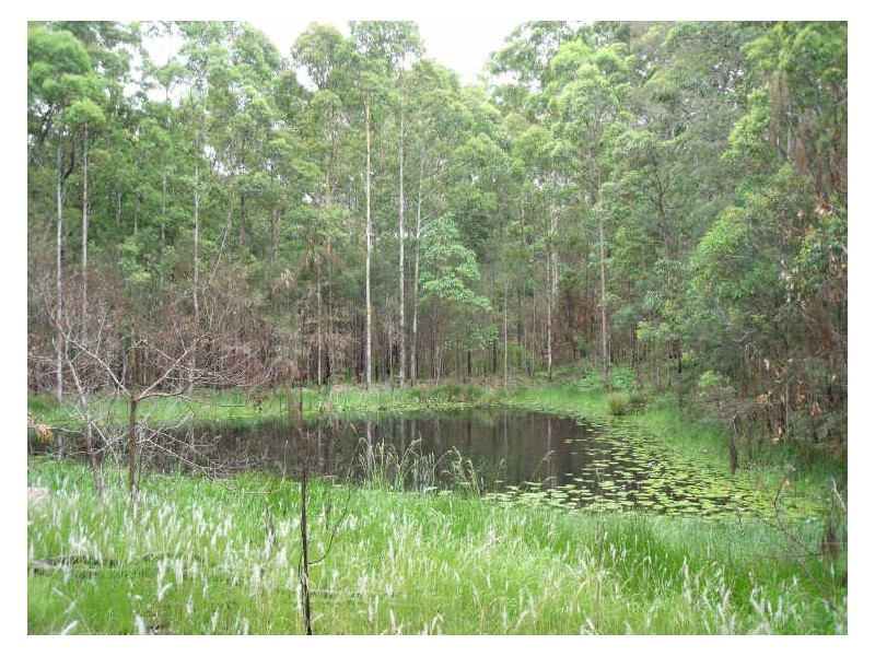 213 Tallwood Drive, Rainbow Flat NSW 2430