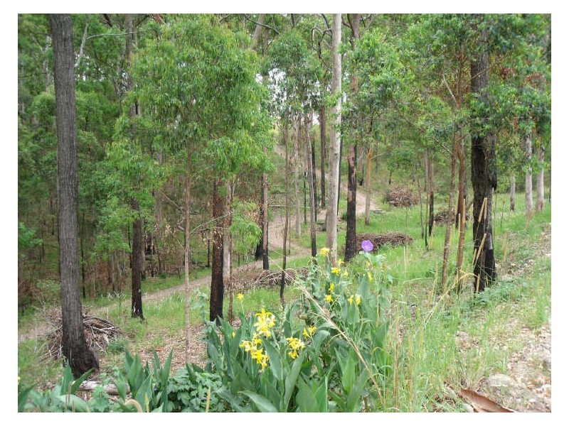213 Tallwood Drive, Rainbow Flat NSW 2430