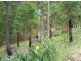 213 Tallwood Drive, Rainbow Flat NSW 2430