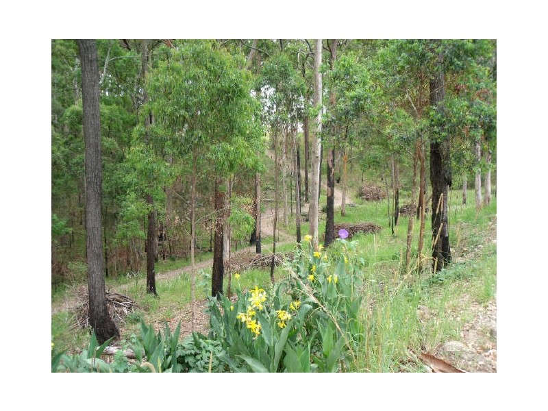 213 Tallwood Drive, Rainbow Flat NSW 2430