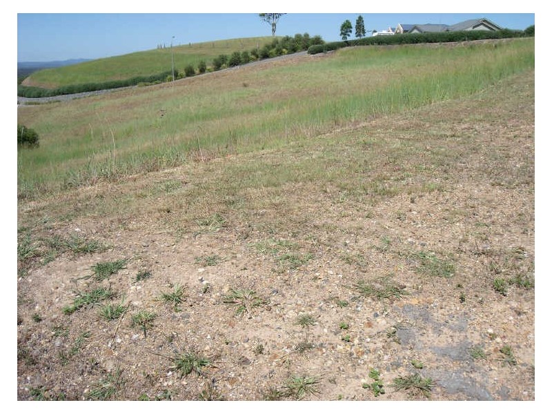 Hallidays Point NSW 2430