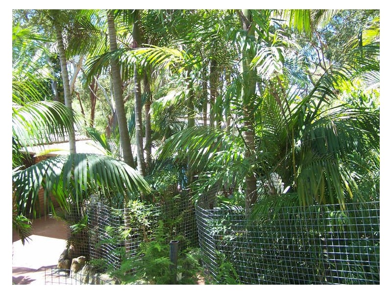 Green Point NSW 2428