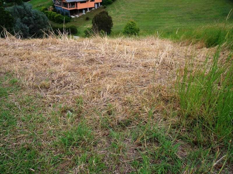 Lot 4 Hurdzans Reach, Tallwoods Village NSW 2430