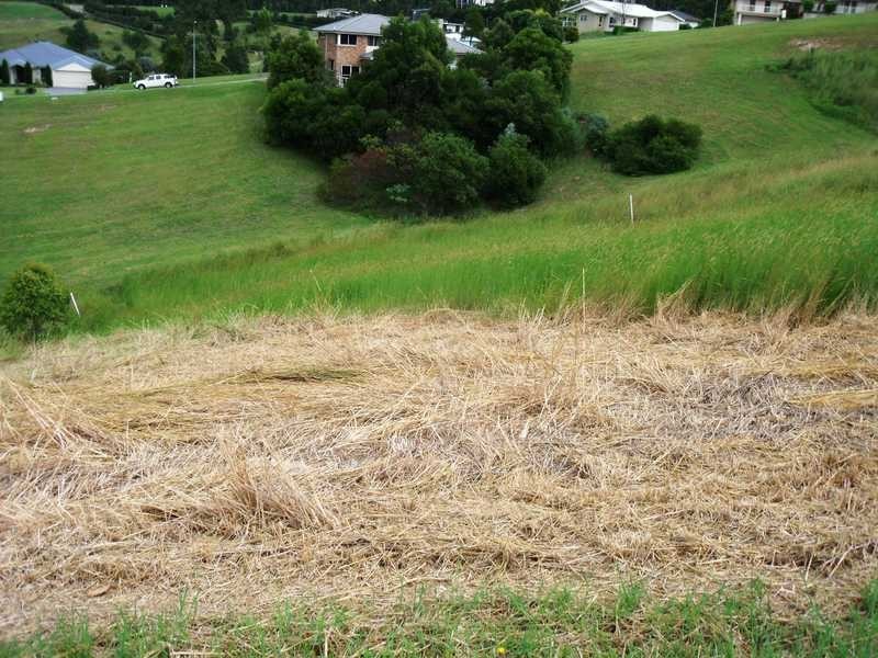 Lot 4 Hurdzans Reach, Tallwoods Village NSW 2430