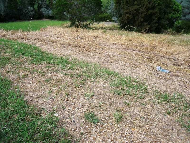 Lot 5 Hurdzans Reach, Tallwoods Village NSW 2430