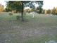 Failford NSW 2430