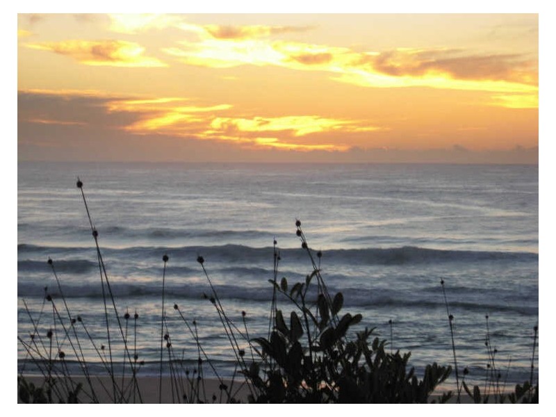 120 Boomerang Drive, Boomerang Beach NSW 2428