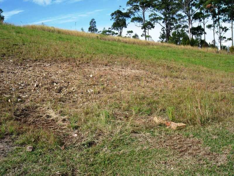 11 The Bridle Path, Tallwoods Village NSW 2430