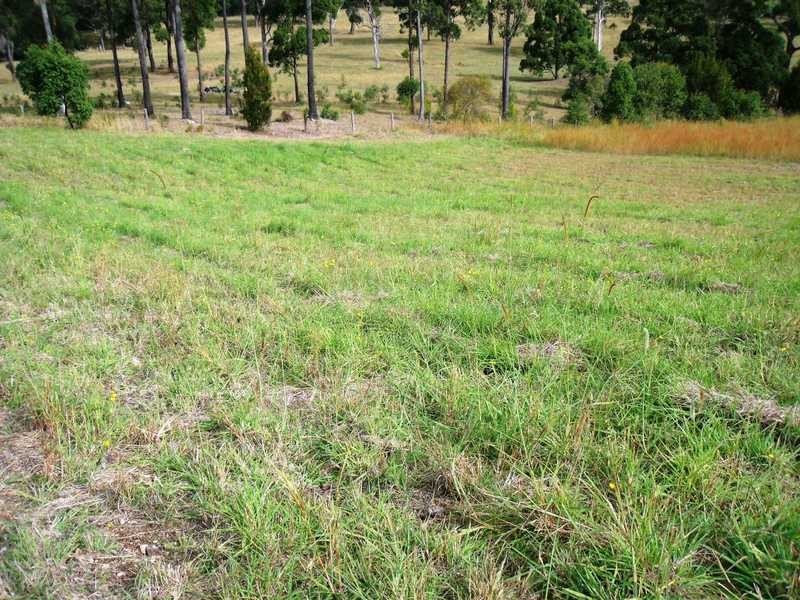 11 The Bridle Path, Tallwoods Village NSW 2430