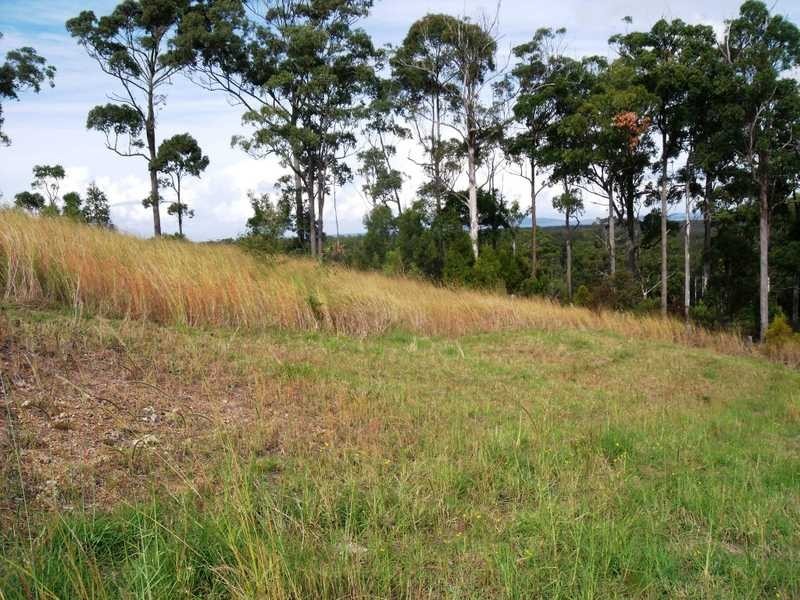 11 The Bridle Path, Tallwoods Village NSW 2430