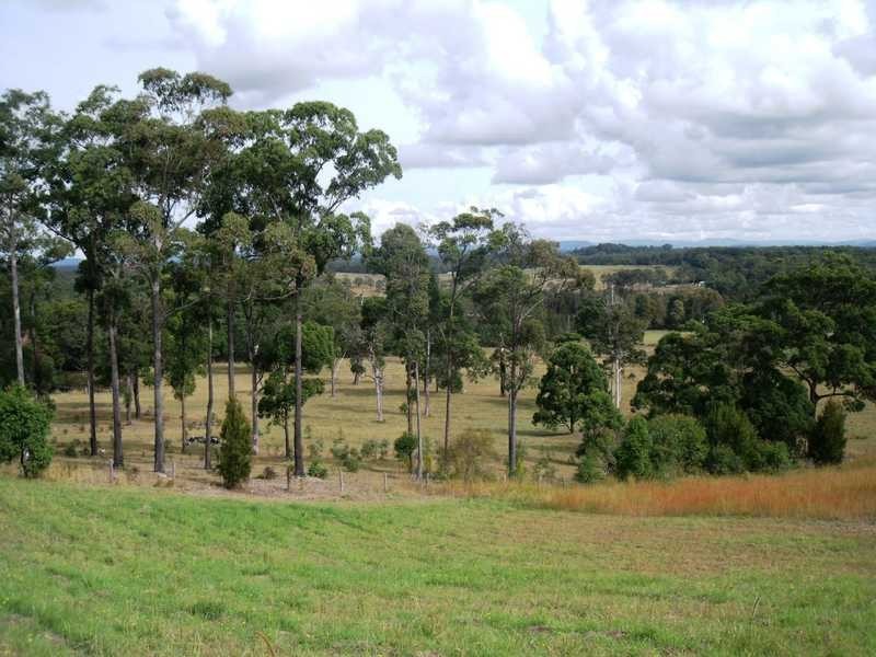 11 The Bridle Path, Tallwoods Village NSW 2430