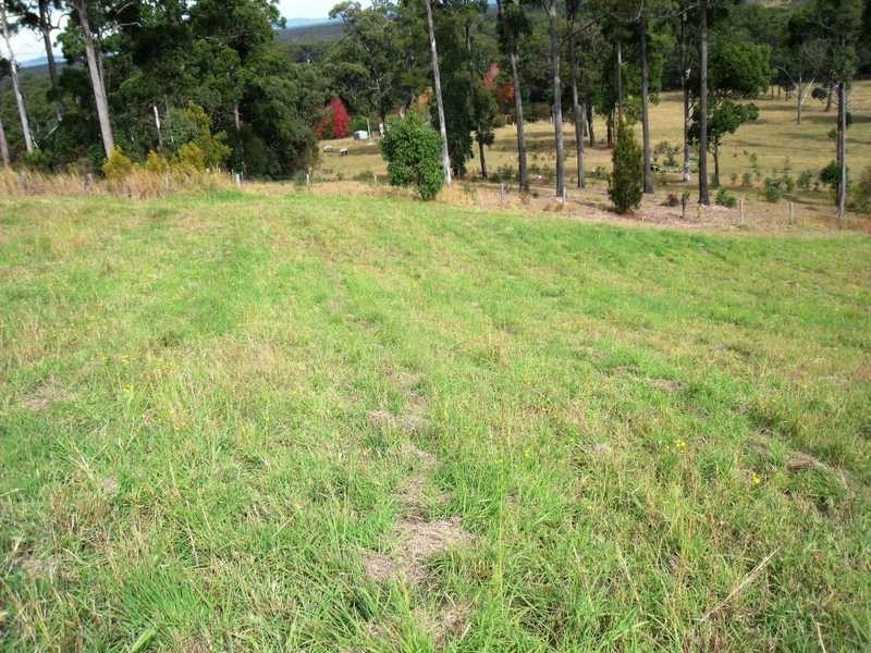 11 The Bridle Path, Tallwoods Village NSW 2430