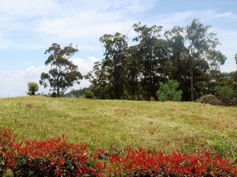 Lot 932 Hilltop Parkway, Tallwoods Village NSW 2430