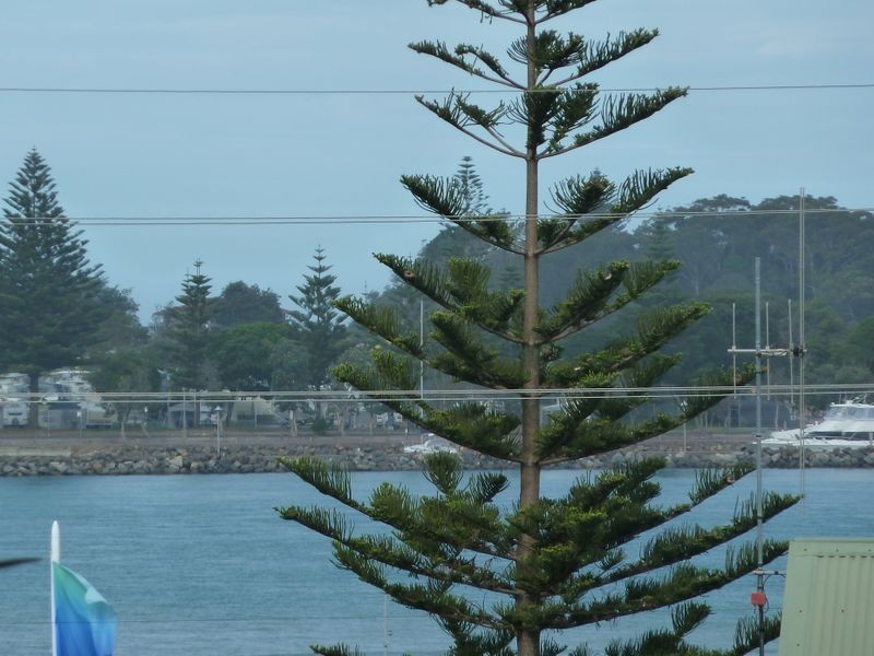 29/3-7 Peel Street, Tuncurry NSW 2428