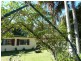 160 Green Point Drive, Green Point NSW 2428