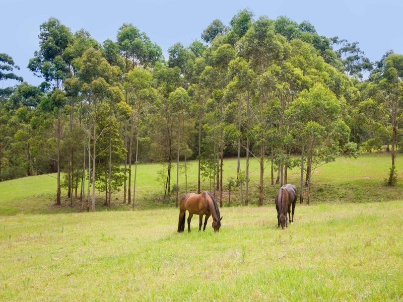 812 Wattley Hill Road, Pacific Palms NSW 2428