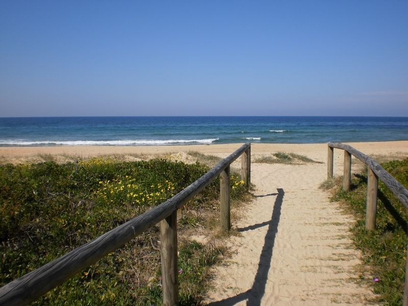 6 Pearl Place, Diamond Beach NSW 2430