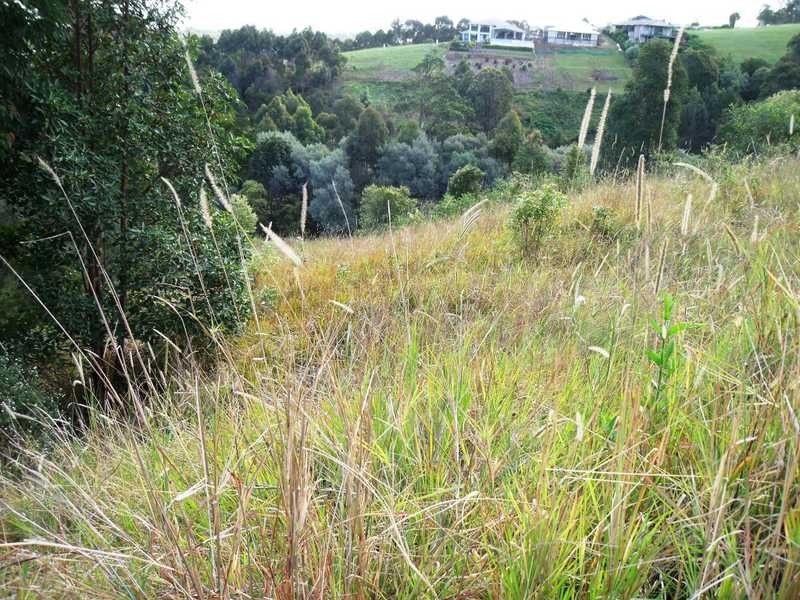 721 Capeview Way, Tallwoods Village NSW 2430