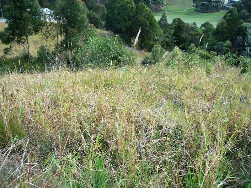 721 Capeview Way, Tallwoods Village NSW 2430