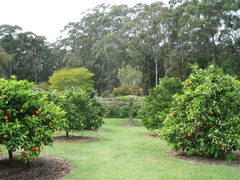 Hallidays Point NSW 2430