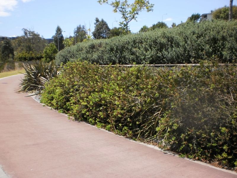 21/3 Golden Wattle Way, Hallidays Point NSW 2430