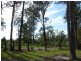 106 Blackbutt Drive, Failford NSW 2430