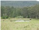 70 Park Street, Coolongolook NSW 2423