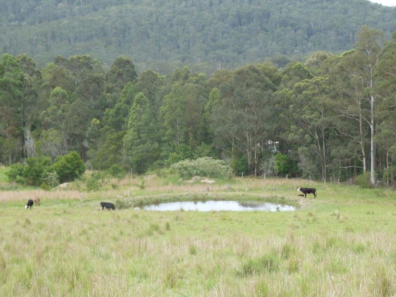70 Park Street, Coolongolook NSW 2423