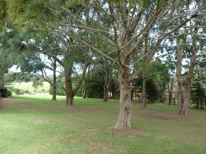 225 Cape Hawke Drive, Forster NSW 2428