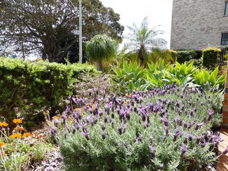 1/72 Little Street ‘Renas Court’, Forster NSW 2428