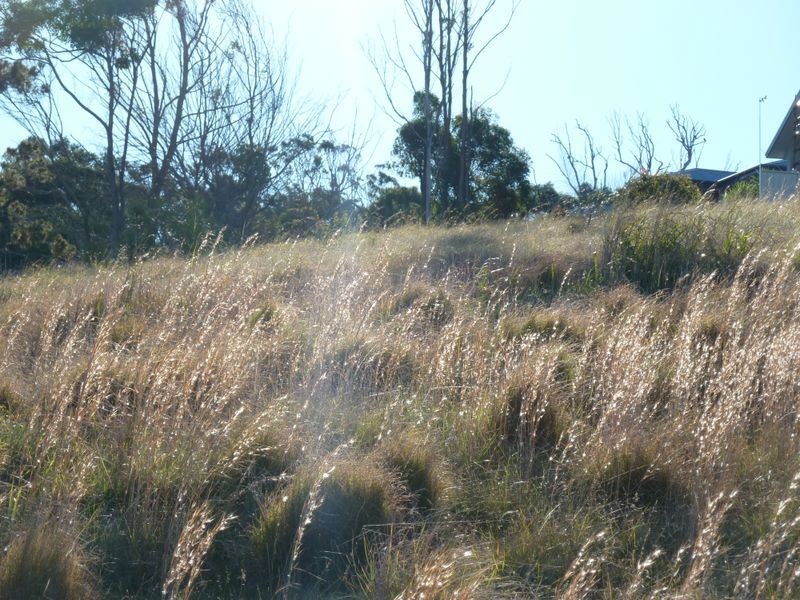 Lot 922 (6 Narran Close, Forster NSW 2428