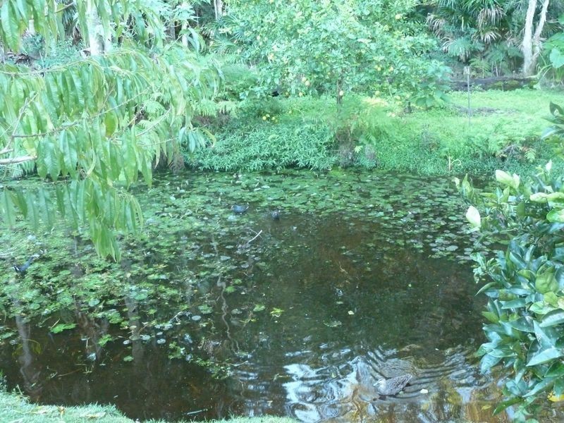 6 Montego Pl, Tuncurry NSW 2428