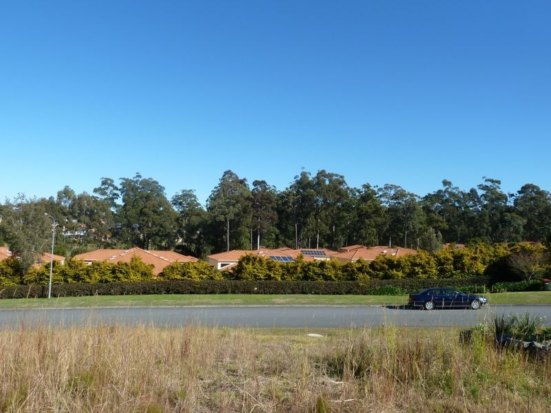 19 Hilltop Parkway, Tallwoods Village NSW 2430