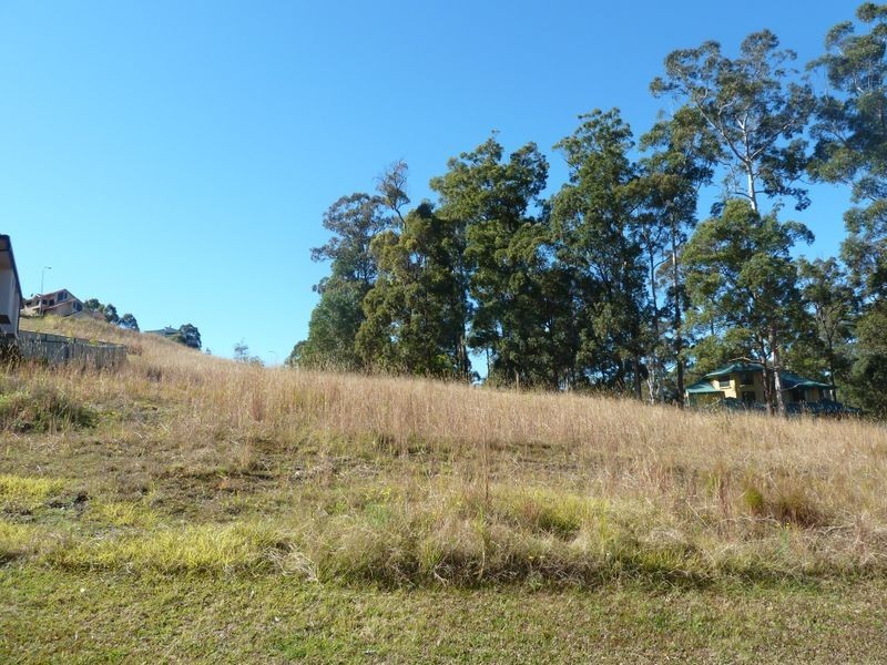 19 Hilltop Parkway, Tallwoods Village NSW 2430