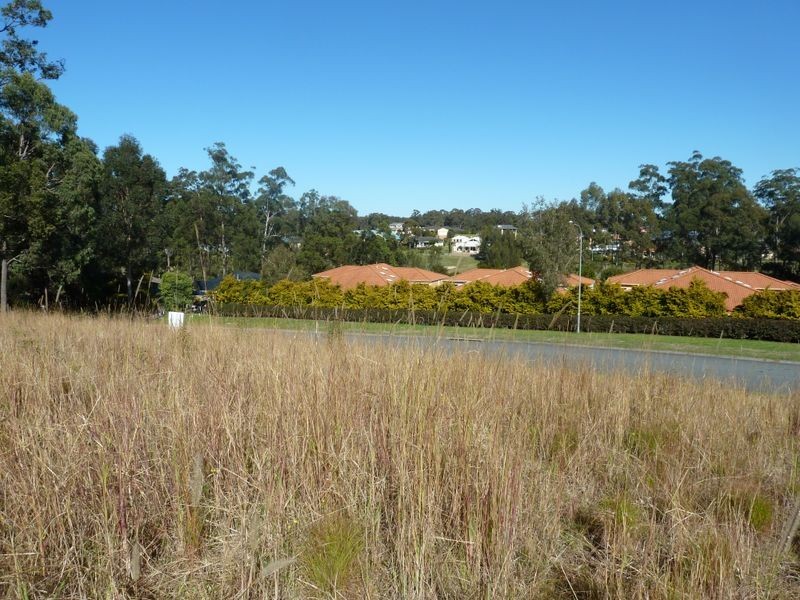 19 Hilltop Parkway, Tallwoods Village NSW 2430