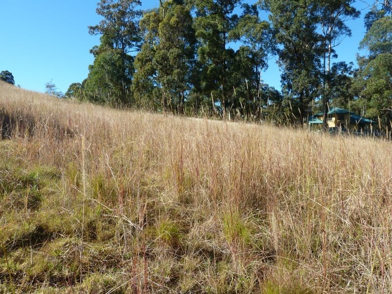 19 Hilltop Parkway, Tallwoods Village NSW 2430